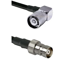 fieldcomponents202607190927332384473