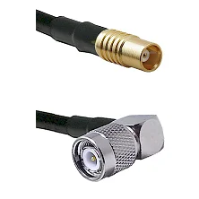fieldcomponents202607191000312392888