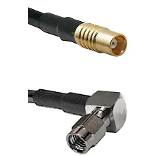 fieldcomponents202607191002022393262