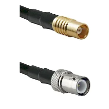 fieldcomponents202607191002432393426