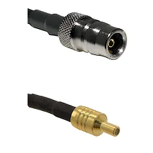 fieldcomponents202607191023312398869