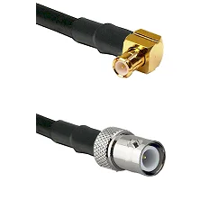 fieldcomponents202607191029492400460