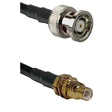 fieldcomponents202607191038522402740