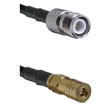 fieldcomponents202607191058302407719
