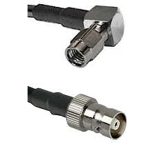 fieldcomponents202607191121152413519