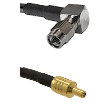 fieldcomponents202607191121322413596