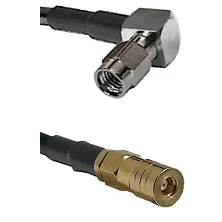 fieldcomponents202607191121422413634