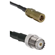 fieldcomponents202607191137542417872