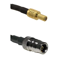 fieldcomponents202607191142002418883