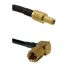 fieldcomponents202607191142162418956
