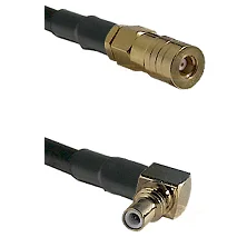 fieldcomponents202607191158552423325