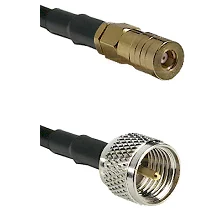 fieldcomponents202607191159192423423