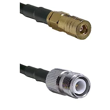 fieldcomponents202607191159402423509