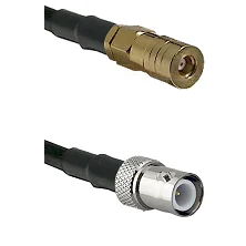 fieldcomponents202607191159472423541