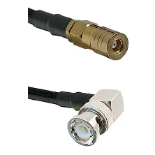 fieldcomponents202607191211232426543