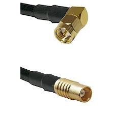 fieldcomponents202607191757312507591