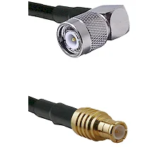 fieldcomponents202607191801592508832