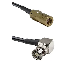 fieldcomponents202607191806122510082