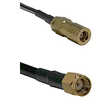 fieldcomponents202607191806232510134