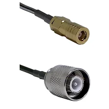 fieldcomponents202607191806332510179