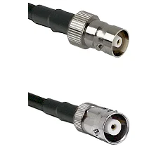 fieldcomponents202607191827342516328