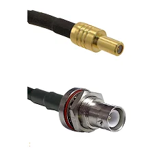 fieldcomponents202607191831142517461