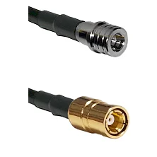 fieldcomponents202607191853232523973