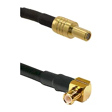 fieldcomponents202607191854212524260