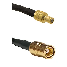 fieldcomponents202607191856512524977
