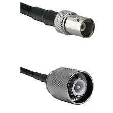 fieldcomponents202607191902412526663