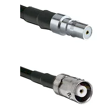fieldcomponents202607191907242528109
