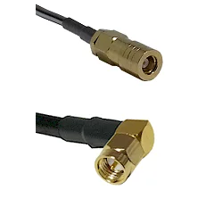 fieldcomponents202607191908002528321