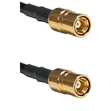 fieldcomponents202607191909562528973