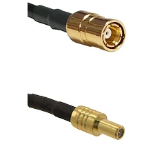 fieldcomponents202607191910502529256