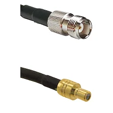 fieldcomponents202607191913062529932