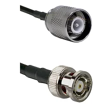 fieldcomponents202607191934472536505
