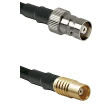 fieldcomponents202607191936322536920