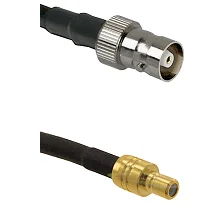 fieldcomponents202607191936332536927