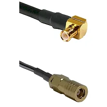 fieldcomponents202607191944592538898