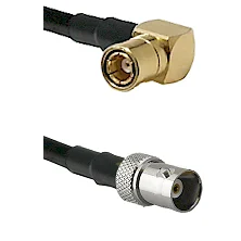 fieldcomponents202607191957082541954