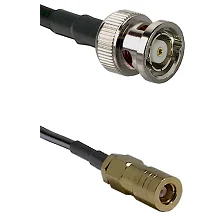 fieldcomponents202607192008112543406