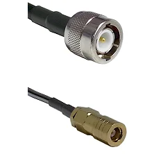 fieldcomponents202607192051432551033