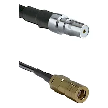 fieldcomponents202607192103232553342