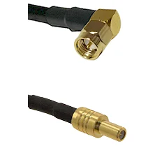 fieldcomponents202607192138322558944