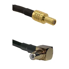 fieldcomponents202607192200272562441