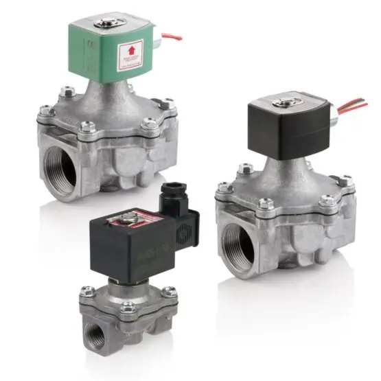 niscoinc-4202607190827242370339