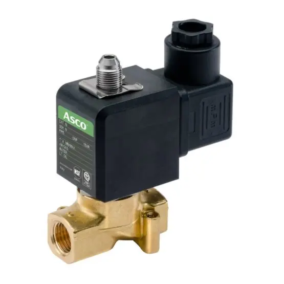 niscoinc-5202607181726552143305